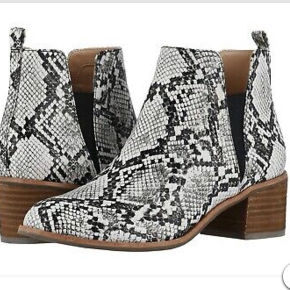Dr scholls snakeskin booties Clearance